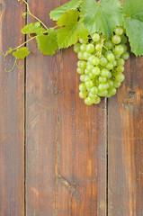 White grapes