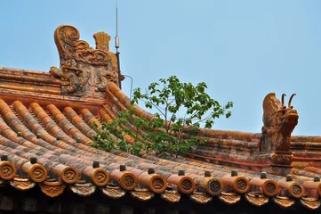 Foto op Canvas tree growing out of colorful chinese roof in beijing © meanmachine77