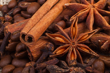 Obraz na płótnie Canvas aromatic spices