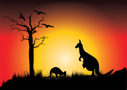sunset with two kangaroos