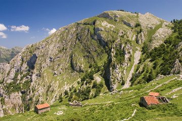 Parque nacional de Picos de Europa, Asturias, España © Francisco Javier Gil