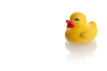 yellow rubber duck