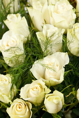white roses