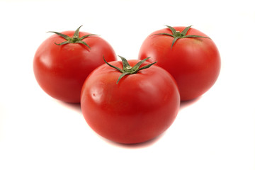 Tomato isolated in white background
