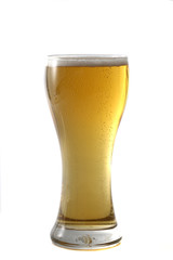 Beer isolated in white background