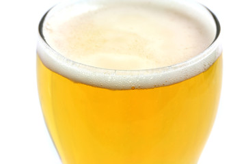 Beer isolated in white background
