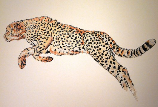 Leaping Cheetah