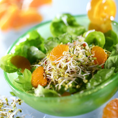 Salat in grünem Schälchen