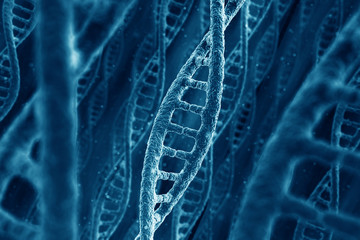 DNA strands - 35062940