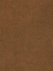 Fototapeta premium Embossed paper: Leather imitation. Artificial Leather.