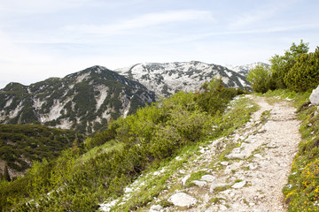 Naklejka na ściany i meble mountain panorama
