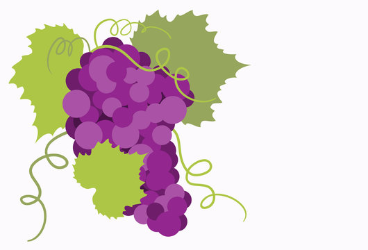 Bunch of grapes