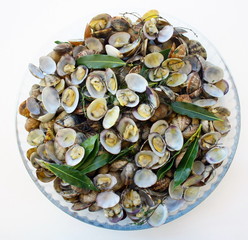 plat de palourdes cuisiné