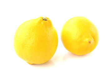 Isolated fruits - Lemon