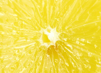 Macro - Lemon