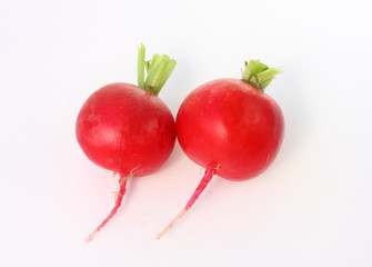 Isolated vegetables - Radish