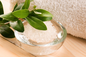 Sea Salt With Fresh Olive Branch. Spa And Wellness