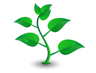 Vector green petal and water drop. highlight