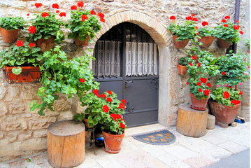 Fototapeta na wymiar Kolorowe kwiaty czerwone podszewka średniowieczny mur w Włoszech