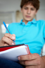 Teenage boy writing in notebook