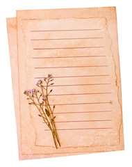 Old paper and the dried flowers, on the white