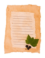 Black currant on an old paper