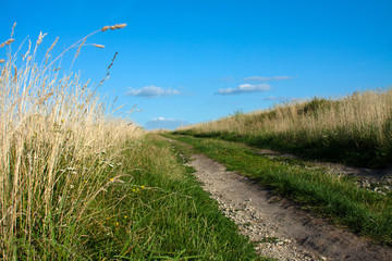 gravel road in the field