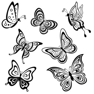Butterflies, contours