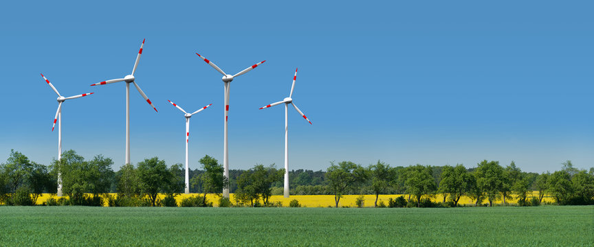 Windkrafträder in einem Rapsfeld hinter einer Allee