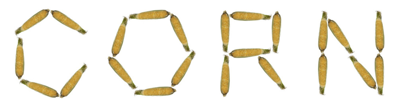corn ,alphabet