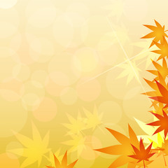 maple of autumn background