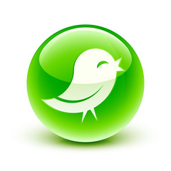 icône oiseau information / bird icon