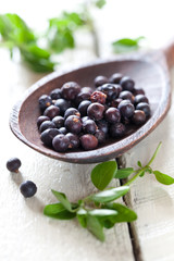 getrocknete Wacholderbeeren