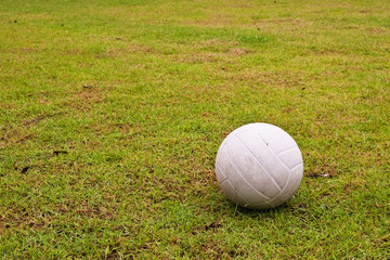 Fototapeta na wymiar White ball on green grass background