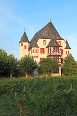 Fototapeta na wymiar Schloss Schönborn