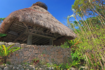 沖縄独特の石の塀と茅葺の家