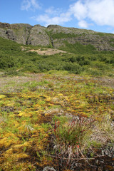 Iceland - Glymur area mountains