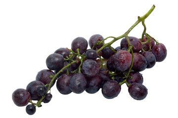 Bunch of grapes