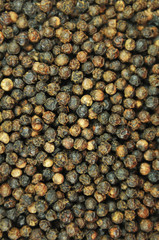 Pepper background