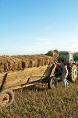 Obraz premium Baling hay in filed
