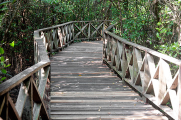 walk way road