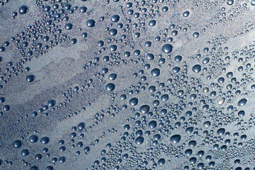 Water drops on a grey-blue background