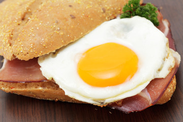 Vollkornbrötchen, roher Schinken, Spiegelei