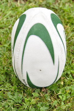 「Talonner」の写真素材 | 3件の無料イラスト画像 | Adobe Stock