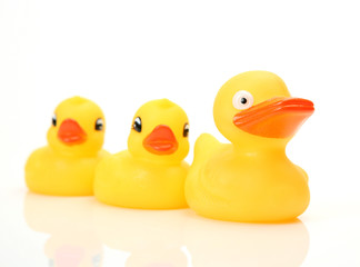 Rubber ducks