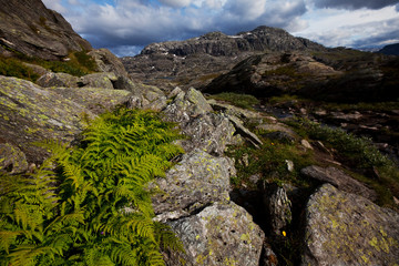 Norway landscapes