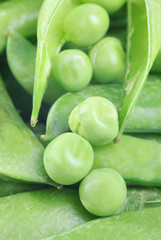fresh peas   as  background