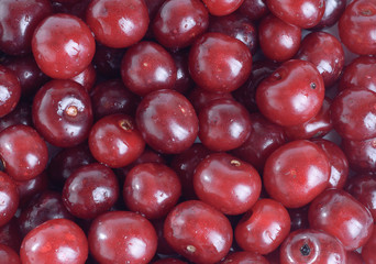 Cherries