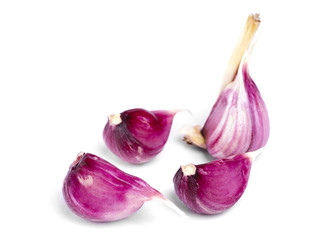 garlic isolation on white