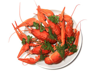 crawfish